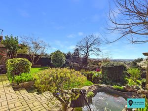 Garden - click for photo gallery